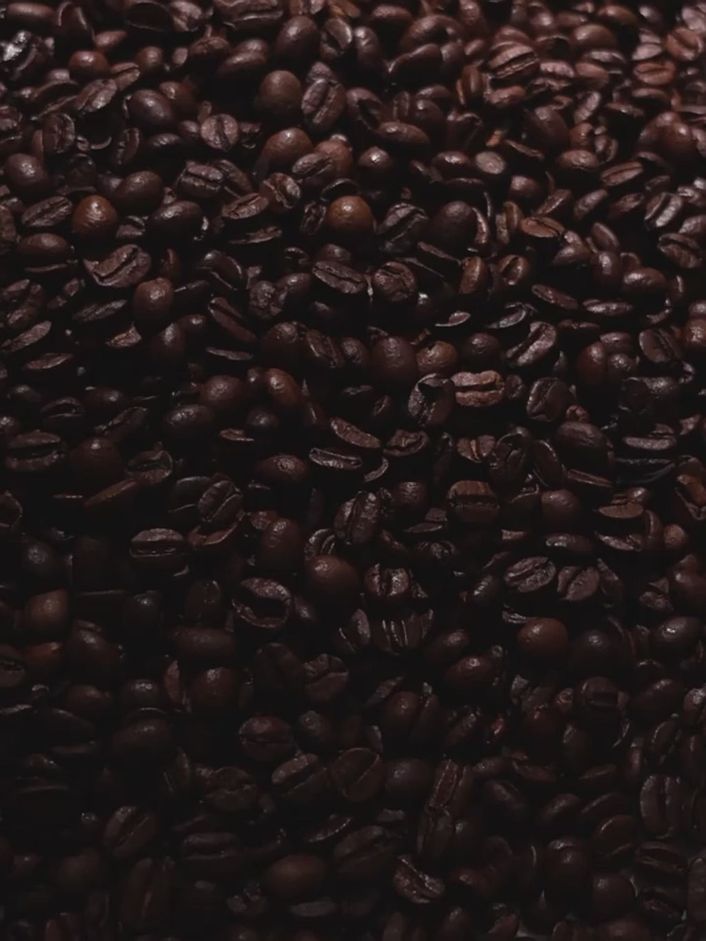 Vacuum-Sealed Glass Canister